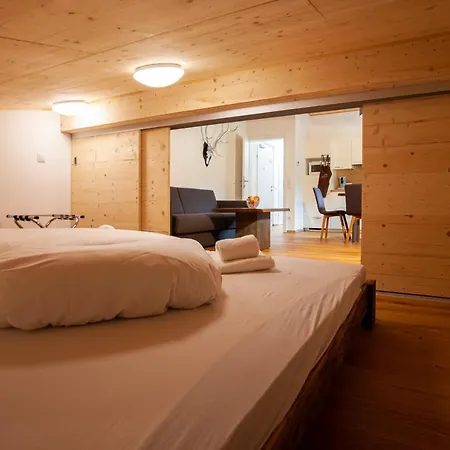 Apartment Montafon I - & Chalet-apartments Sankt Gallenkirch