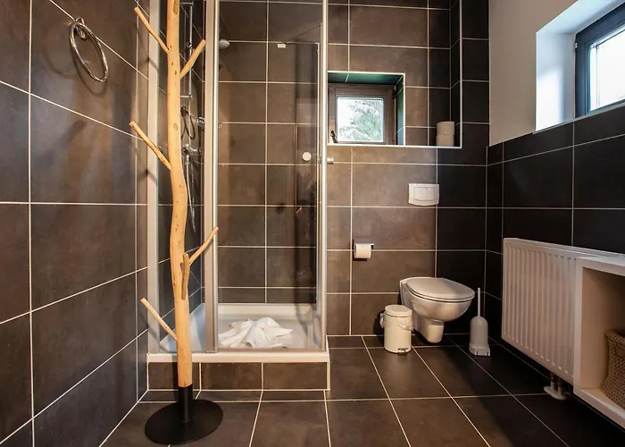 Montafon I - & Chalet-apartments Apartment Sankt Gallenkirch